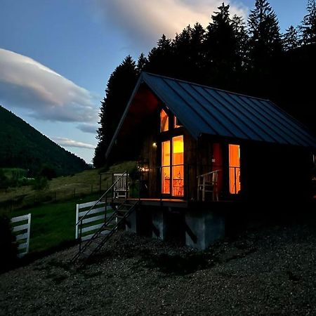 Bramble Tiny House Villa Zarnesti Luaran gambar