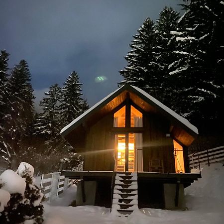 Bramble Tiny House Villa Zarnesti Luaran gambar