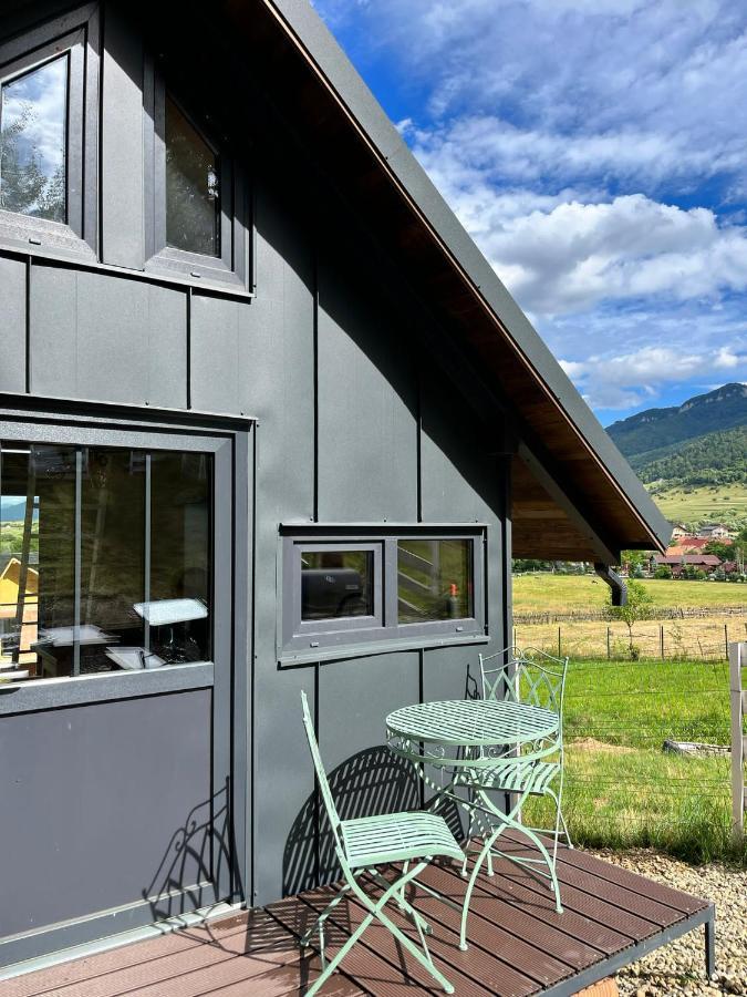 Bramble Tiny House Villa Zarnesti Luaran gambar