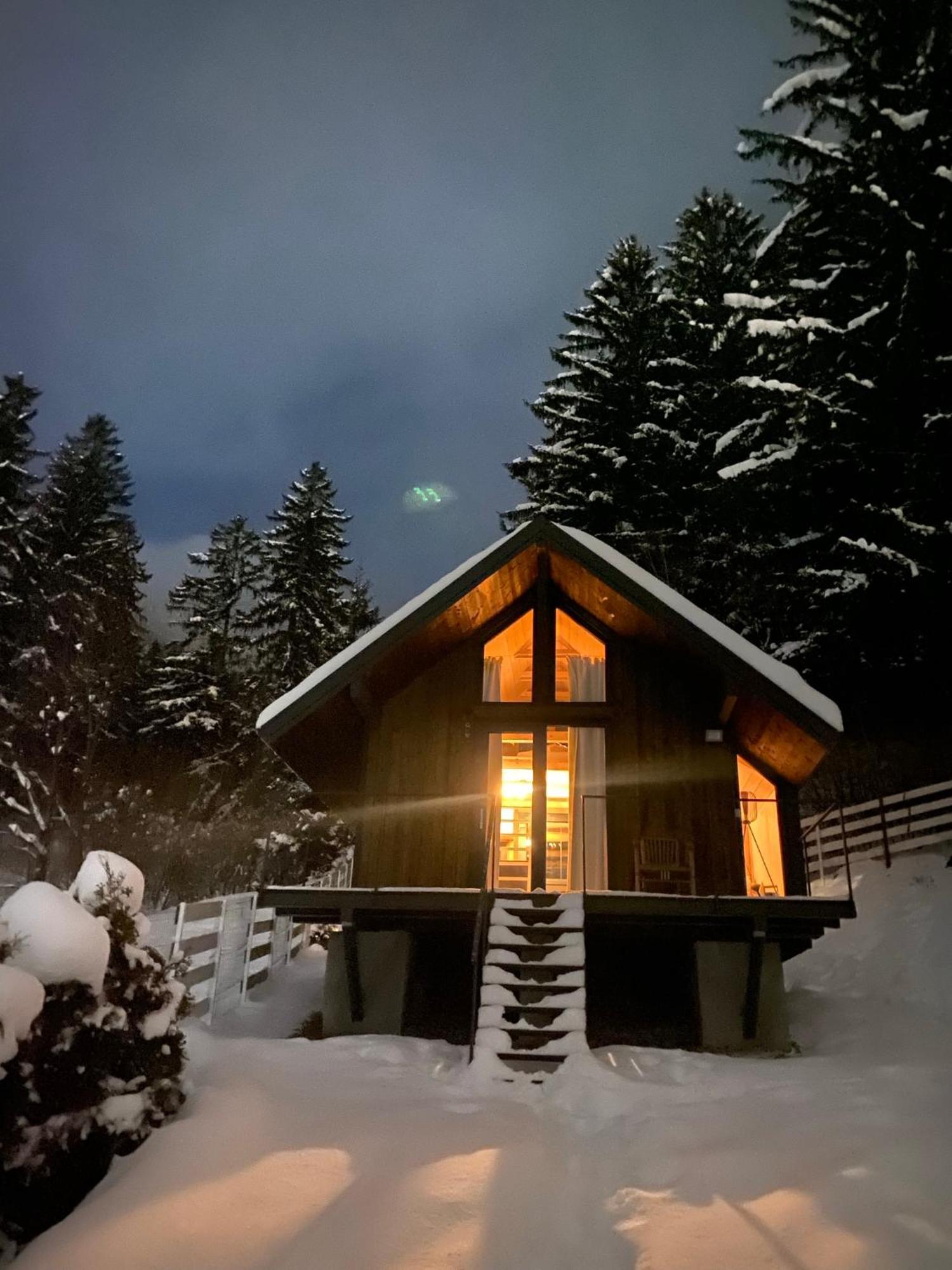 Bramble Tiny House Villa Zarnesti Luaran gambar
